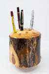 Colorado Aspen Wood Pencil Holder